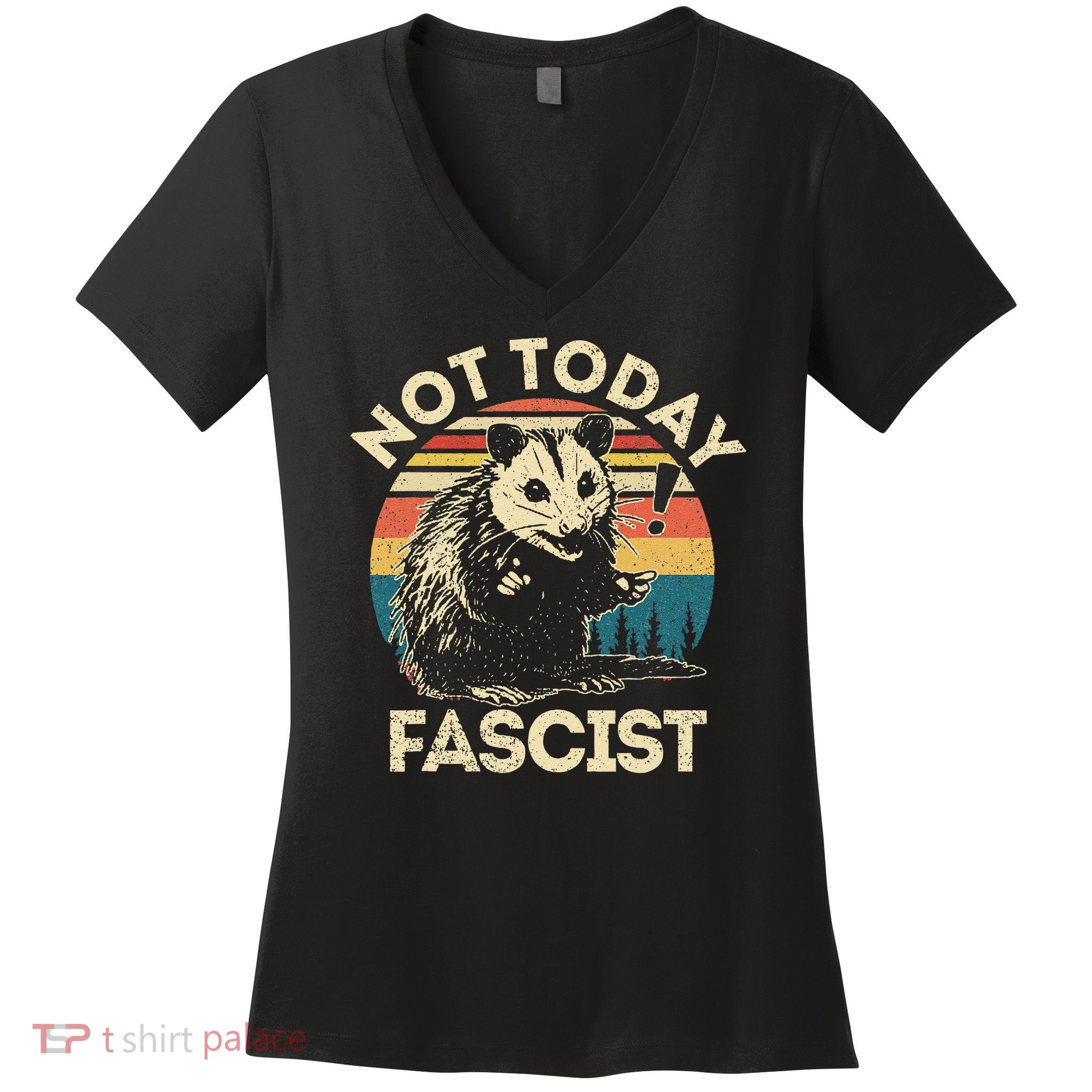 Not Today Fascist Funny Opossum Social Possum Team Trash Gift Women's V-Neck T-Shirt