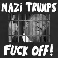Nazi Trumps Fuck Off 7 Panel Mesh Trucker Snapback Hat