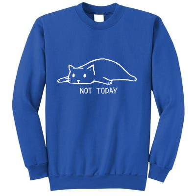 Not Today Funny Cat Funny Gift Sleepy Cat Pet Lazy Gift Sweatshirt