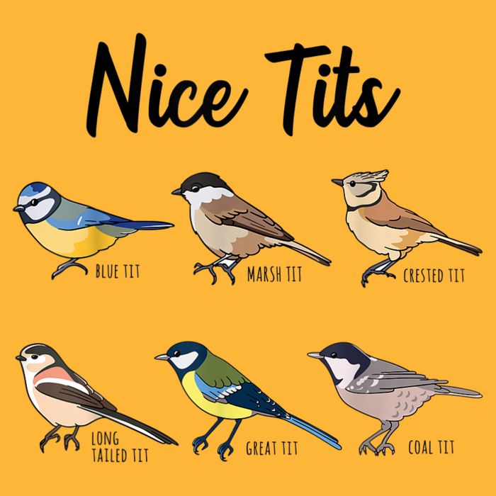 Nice Tits Funny Bird Watching Birding Sustainable Knit Beanie