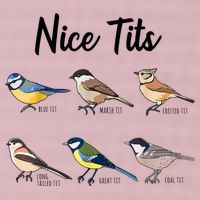 Nice Tits Funny Bird Watching Birding 25L Jumbo Tote