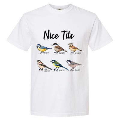 Nice Tits Funny Bird Watching Birding Garment-Dyed Heavyweight T-Shirt