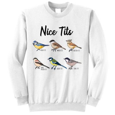Nice Tits Funny Bird Watching Birding Sweatshirt