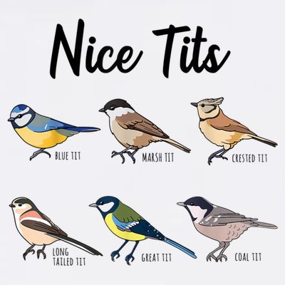 Nice Tits Funny Bird Watching Birding T-Shirt