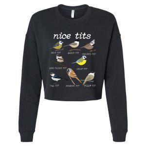 Nice Tits Funny Bird Watching Funny Tit Birds Birdwatcher Cropped Pullover Crew