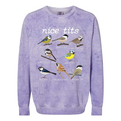 Nice Tits Funny Bird Watching Funny Tit Birds Birdwatcher Colorblast Crewneck Sweatshirt