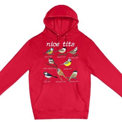 Nice Tits Funny Bird Watching Funny Tit Birds Birdwatcher Premium Pullover Hoodie