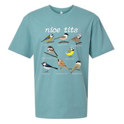 Nice Tits Funny Bird Watching Funny Tit Birds Birdwatcher Sueded Cloud Jersey T-Shirt