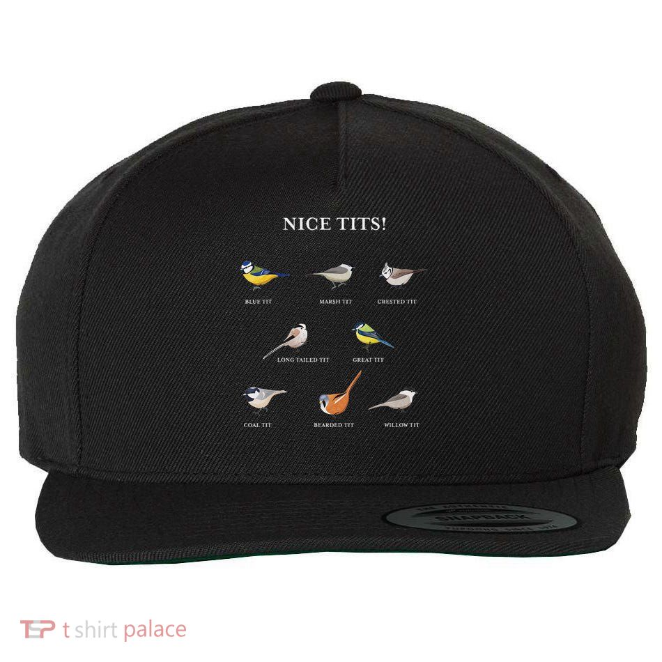 Nice Tits! Funny Birdwatching Gift For Bird Enthusiast Wool Snapback Cap