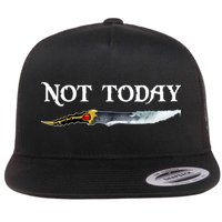Not Today GOT Sword Flatbill Hat
