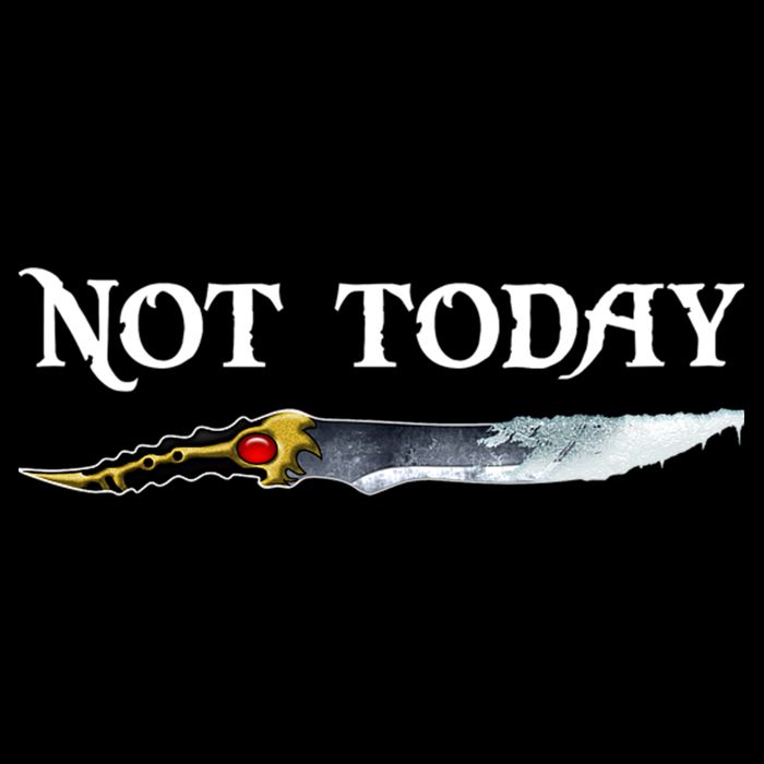 Not Today GOT Sword Flatbill Hat