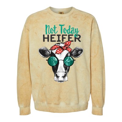 Not Today Heifer Country Sayings Not Today Heifer Colorblast Crewneck Sweatshirt