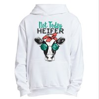 Not Today Heifer Country Sayings Not Today Heifer Urban Pullover Hoodie