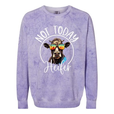 Not Today Heifer Funny Country Life Colorblast Crewneck Sweatshirt