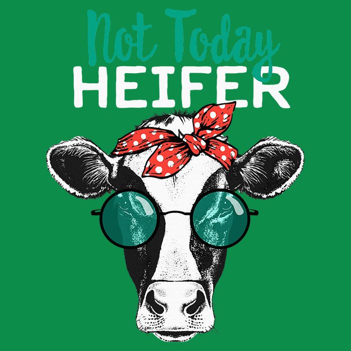 Not Today Heifer Country Sayings Women's V-Neck T-Shirt