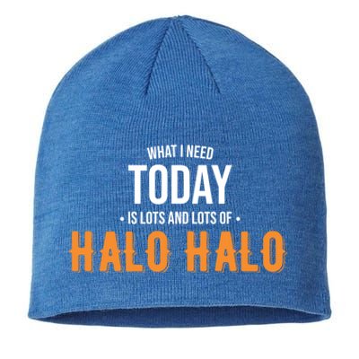 Need Today Is Lots Of Halo Halo Funny Halo Halo Great Gift Sustainable Beanie