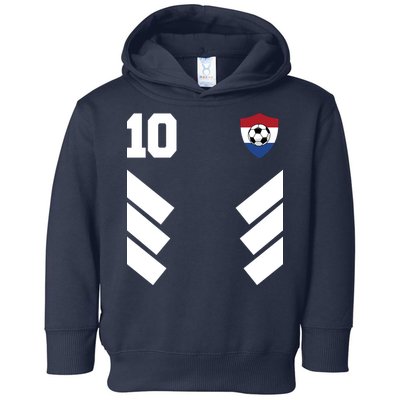 Netherlands Team Jersey Soccer Crest Toddler Hoodie