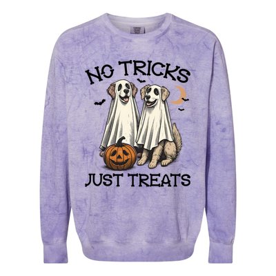 No Tricks Just Treats Cute Skeleton Dog Dog Halloween Cool Gift Colorblast Crewneck Sweatshirt