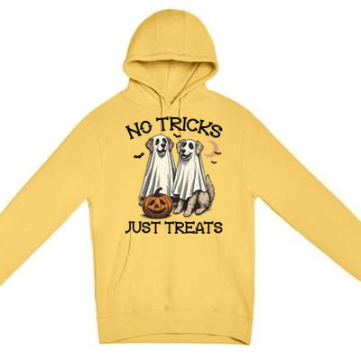 No Tricks Just Treats Cute Skeleton Dog Dog Halloween Cool Gift Premium Pullover Hoodie