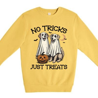 No Tricks Just Treats Cute Skeleton Dog Dog Halloween Cool Gift Premium Crewneck Sweatshirt