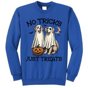 No Tricks Just Treats Cute Skeleton Dog Dog Halloween Cool Gift Sweatshirt