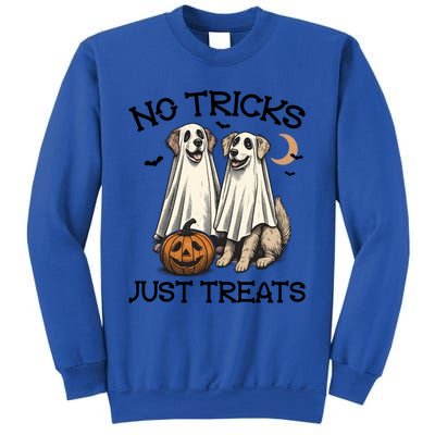 No Tricks Just Treats Cute Skeleton Dog Dog Halloween Cool Gift Sweatshirt