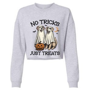 No Tricks Just Treats Cute Skeleton Dog Dog Halloween Cool Gift Cropped Pullover Crew