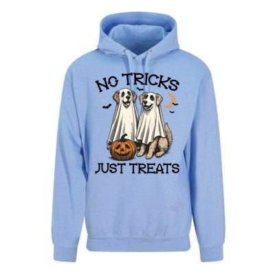 No Tricks Just Treats Cute Skeleton Dog Dog Halloween Cool Gift Unisex Surf Hoodie