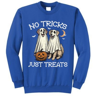 No Tricks Just Treats Dog In Ghost Costume Halloween Design Gift Tall Sweatshirt