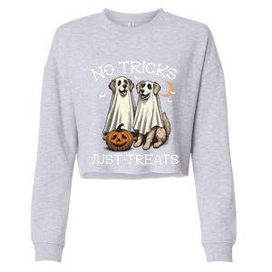 No Tricks Just Treats Dog In Ghost Costume Halloween Design Gift Cropped Pullover Crew