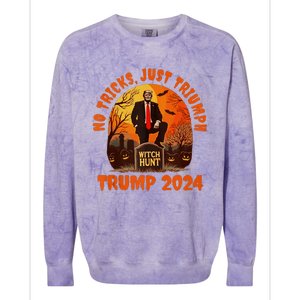 No Tricks Just Triumph Trump 2024 Halloween Witch Hunt Design Colorblast Crewneck Sweatshirt