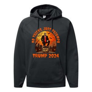 No Tricks Just Triumph Trump 2024 Halloween Witch Hunt Design Performance Fleece Hoodie