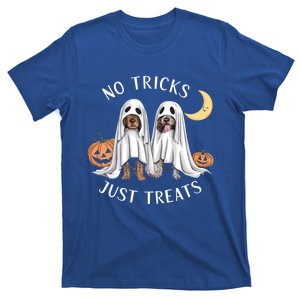 No Tricks Just Treats Funny Halloween Dog Lover Meaningful Gift T-Shirt