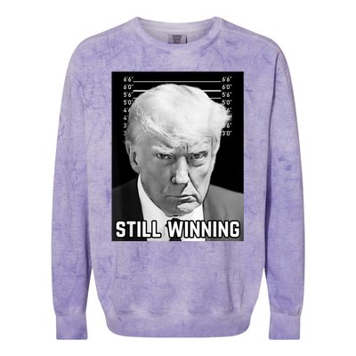 New Trump Mug Shot Still Winning Donald Trump 2024 Colorblast Crewneck Sweatshirt