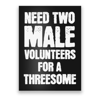 Need Two Male Volunteers For A Threesome Poster