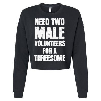 Need Two Male Volunteers For A Threesome Cropped Pullover Crew