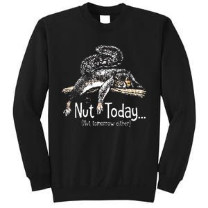 Nut Today Nut Tomorrow Either Squirrel Sweatshirt