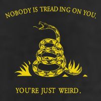 NobodyS Treading On You. YouRe Weird. Funny Election Snake Garment-Dyed Fleece Hoodie