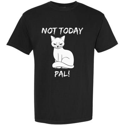 Not Today Pal Fierce Cat Attitude Whimsy Garment-Dyed Heavyweight T-Shirt