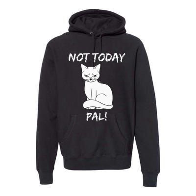 Not Today Pal Fierce Cat Attitude Whimsy Premium Hoodie