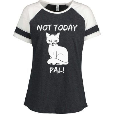 Not Today Pal Fierce Cat Attitude Whimsy Enza Ladies Jersey Colorblock Tee