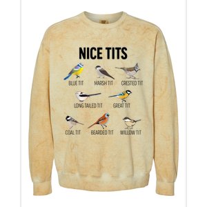 Nice Tits Pun Joke Funny Bird Lover Enthusiast Birdwatcher Colorblast Crewneck Sweatshirt