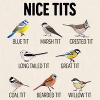 Nice Tits Pun Joke Funny Bird Lover Enthusiast Birdwatcher Garment-Dyed Women's Muscle Tee