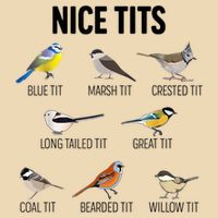Nice Tits Pun Joke Funny Bird Lover Enthusiast Birdwatcher Bag