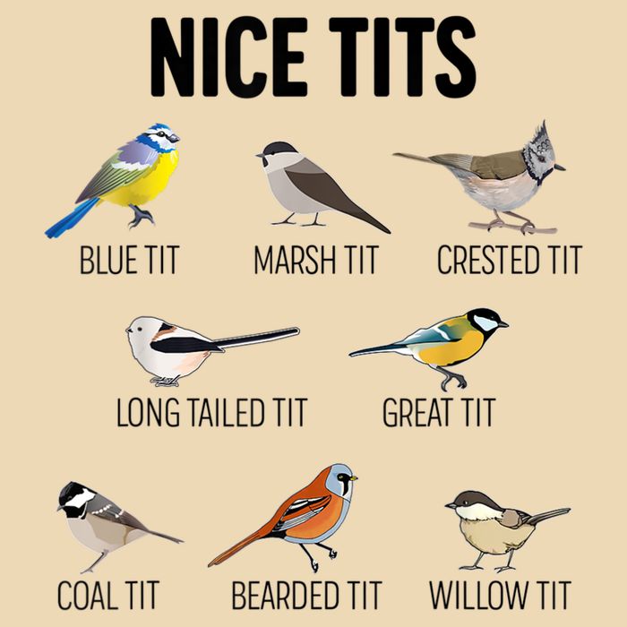 Nice Tits Pun Joke Funny Bird Lover Enthusiast Birdwatcher Bag