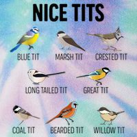 Nice Tits Pun Joke Funny Bird Lover Enthusiast Birdwatcher Legacy Tie Dye Trucker Hat