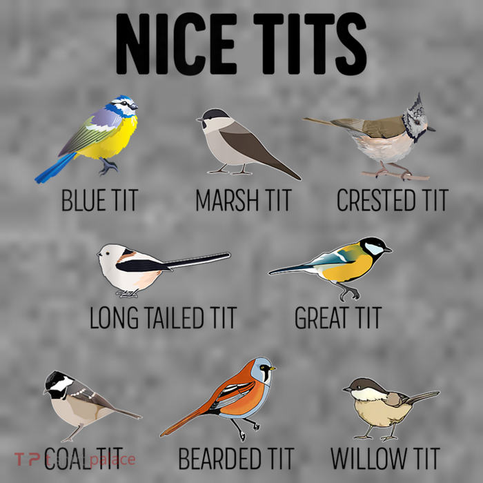 Nice Tits Pun Joke Funny Bird Lover Enthusiast Birdwatcher Tall Sweatshirt