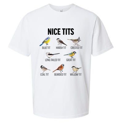 Nice Tits Pun Joke Funny Bird Lover Enthusiast Birdwatcher Sueded Cloud Jersey T-Shirt