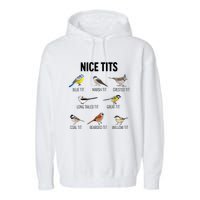 Nice Tits Pun Joke Funny Bird Lover Enthusiast Birdwatcher Garment-Dyed Fleece Hoodie