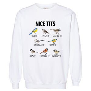 Nice Tits Pun Joke Funny Bird Lover Enthusiast Birdwatcher Garment-Dyed Sweatshirt